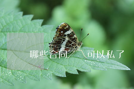 哪些合同糾紛可以私了