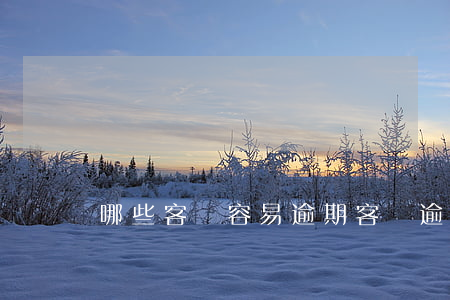哪些客戶容易逾期 客戶逾期的主要原因