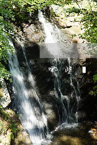 哪些屬于信托財(cái)產(chǎn)