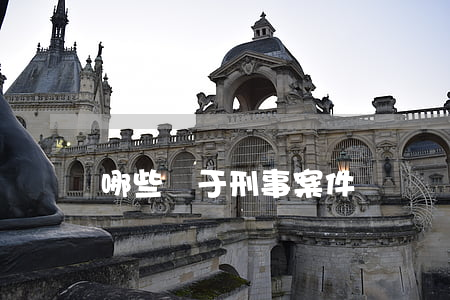 哪些屬于刑事案件