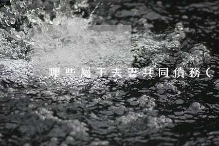 哪些屬于夫妻共同債務(wù)呢