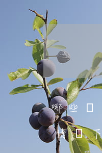 哪些屬于惡意透支信用卡(使用信用卡在什么情況下屬于惡意透支犯罪)