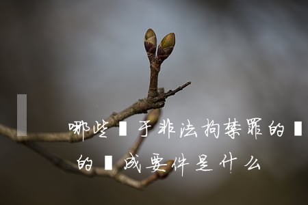 哪些屬于非法拘禁罪的構成要件（非法拘禁罪的構成要件是什么）