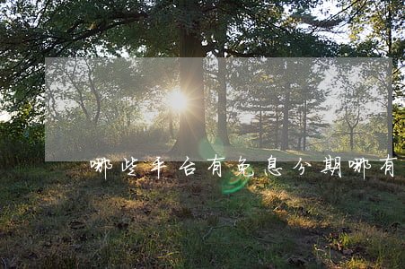 哪些平台有免息分期(哪有免息借款)