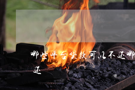 哪些平台贷款可以不还(哪些平台借钱可以不还)