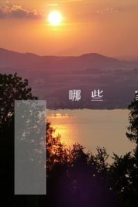 哪些廠家有免息分期(哪些銀行有免息貸款)