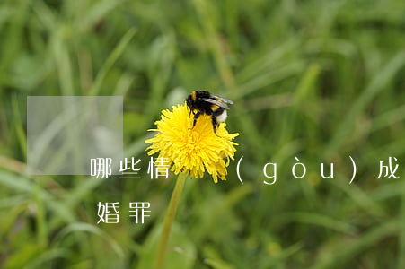 哪些情況構(gòu)成重婚,婚外同居算重婚罪嗎