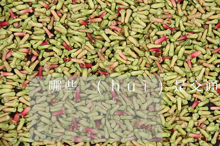 哪些會(huì)是交通肇事逃逸行為