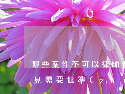 哪些案件不可以律師會見(哪幾類案件律師會見需要批準(zhǔn)?)