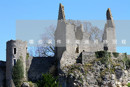 哪些案件不能適用特別程序