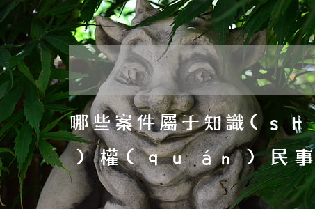 哪些案件屬于知識(shí)產(chǎn)權(quán)民事糾紛案件？