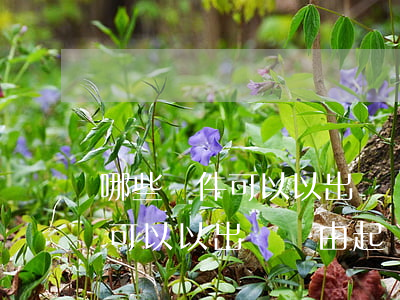 哪些條件可以以出軌為由起訴離婚(哪些條件可以以出軌為由起訴離婚)