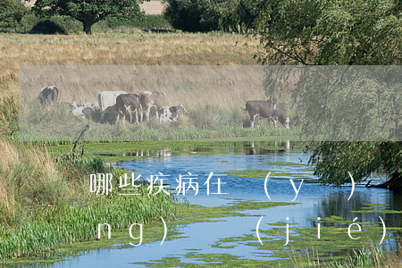 哪些疾病在醫(yī)學上認為不應(yīng)當結(jié)婚的