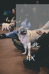 哪些發(fā)明創(chuàng)造能申請實用新型專利