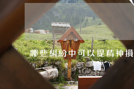 哪些糾紛中可以提精神損害賠償