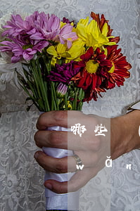 哪些網(wǎng)貸可以延期-哪些網(wǎng)貸可以延期還款