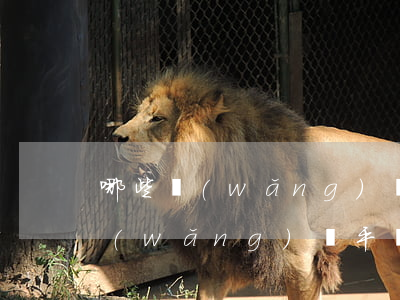 哪些網(wǎng)貸平臺不上征信(哪些網(wǎng)貸平臺不上征信好下款)
