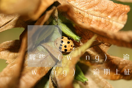 哪些網(wǎng)貸逾期上征信(哪些網(wǎng)貸逾期上征信)