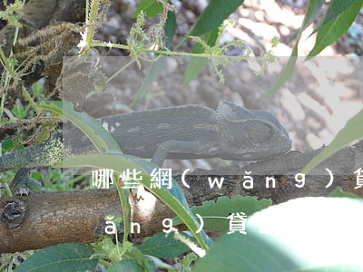 哪些網(wǎng)貸逾期了上征信(網(wǎng)貸逾期了上征信了怎么辦)
