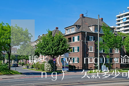 哪些網(wǎng)貸逾期列入失信(網(wǎng)貸欠款多少可納入失信)