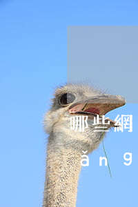 哪些網(wǎng)貸逾期才上征信(網(wǎng)貸逾期會不會上征信)