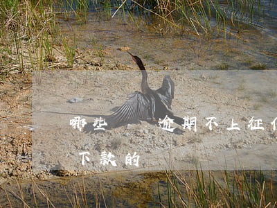 哪些網貸逾期不上征信(征信不好網貸逾期能下款的網貸)