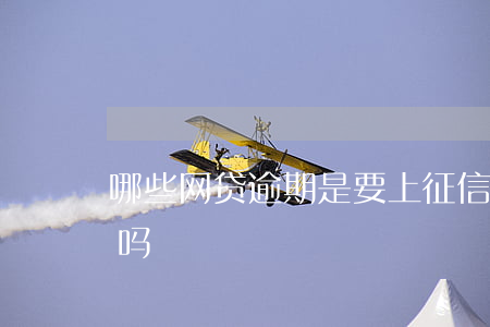 哪些网贷逾期是要上征信(征信逾期网贷能贷吗)