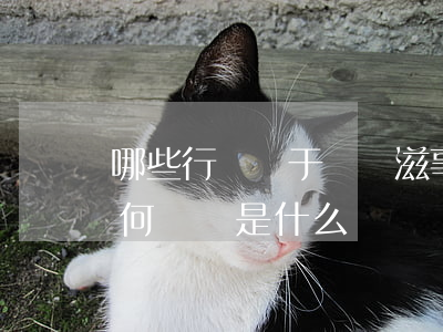 哪些行為屬于尋釁滋事,應(yīng)當如何處罰是什么
