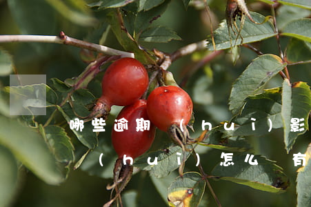 哪些逾期會(huì)影響貸款(貸款有逾期會(huì)怎么樣 有什么影響?)
