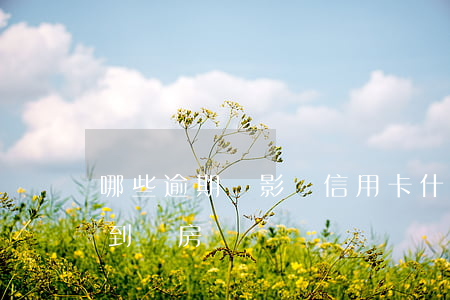 哪些逾期會影響信用卡(什么樣的逾期會影響到買房)