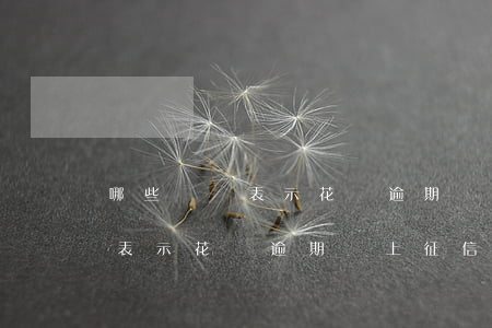 哪些選項表示花唄逾期會上征信-哪些選項表示花唄逾期會上征信呢