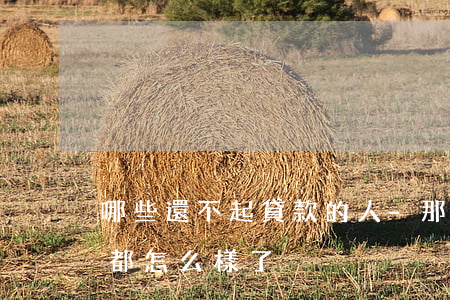 哪些還不起貸款的人-那些貸款還不上的人都怎么樣了?