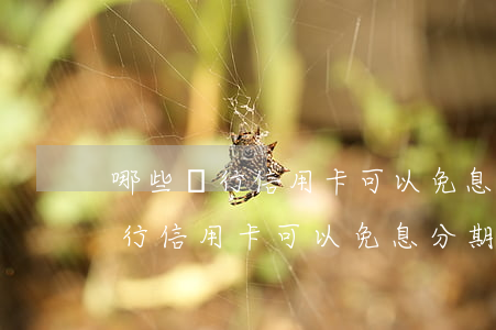 哪些銀行信用卡可以免息分期付款-哪些銀行信用卡可以免息分期付款的
