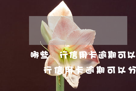 哪些銀行信用卡逾期可以分期還本金-哪些銀行信用卡逾期可以分期還本金的