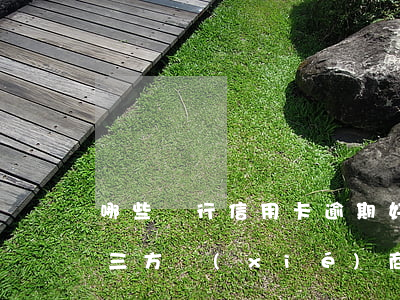 哪些銀行信用卡逾期好協(xié)商(跟第三方協(xié)商還逾期信用卡應(yīng)該注意那些方面的問(wèn)題)