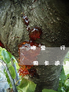 哪些銀行信用卡逾期起訴最快(銀行貸款和信用卡逾期哪個嚴(yán)重)