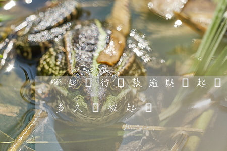 哪些銀行貸款逾期會起訴(銀行信用貸款逾期多久會被起訴)