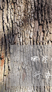 哪些银行办停息挂账需要困难证明-哪些银行办停息挂账需要困难证明呢