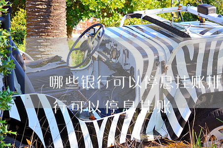 哪些银行可以停息挂账排行榜代办-那些银行可以停息挂账