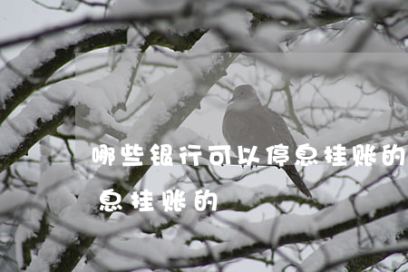 哪些银行可以停息挂账的-哪些银行可以停息挂账的