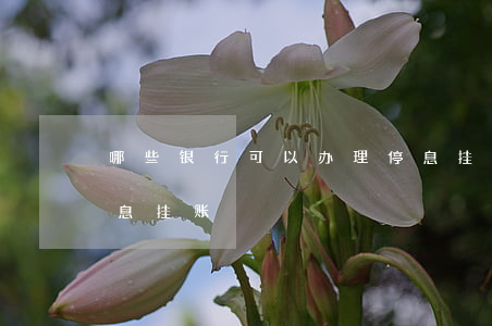 哪些银行可以办理停息挂账（哪些银行办理停息挂账）