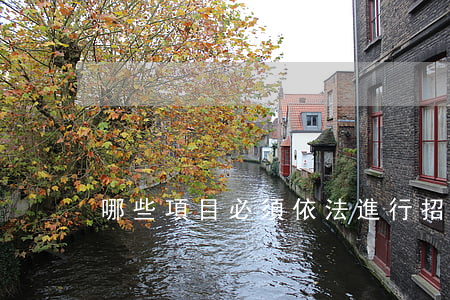 哪些項目必須依法進行招標
