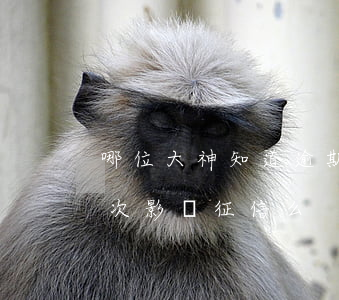 哪位大神知道逾期一次影響征信嗎-逾期一次影響征信么