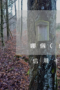 哪個(gè)信用卡利息最低的 什么銀行的信用卡利息低額度高