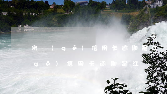 哪個(gè)信用卡逾期是江蘇蘇州(哪個(gè)信用卡逾期是江蘇蘇州)