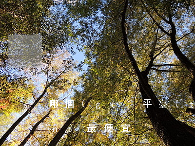 哪個(gè)平臺(tái)借錢(qián)最便宜