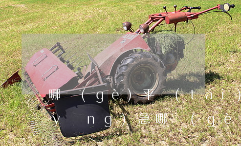 哪個(gè)平臺(tái)可以借錢應(yīng)急(哪個(gè)平臺(tái)可以借錢應(yīng)急)