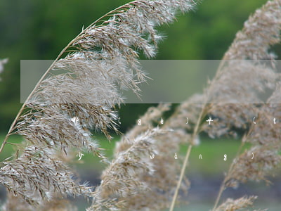哪個(gè)平臺(tái)可以查欠了多少網(wǎng)貸(在哪里查欠了多少網(wǎng)貸)
