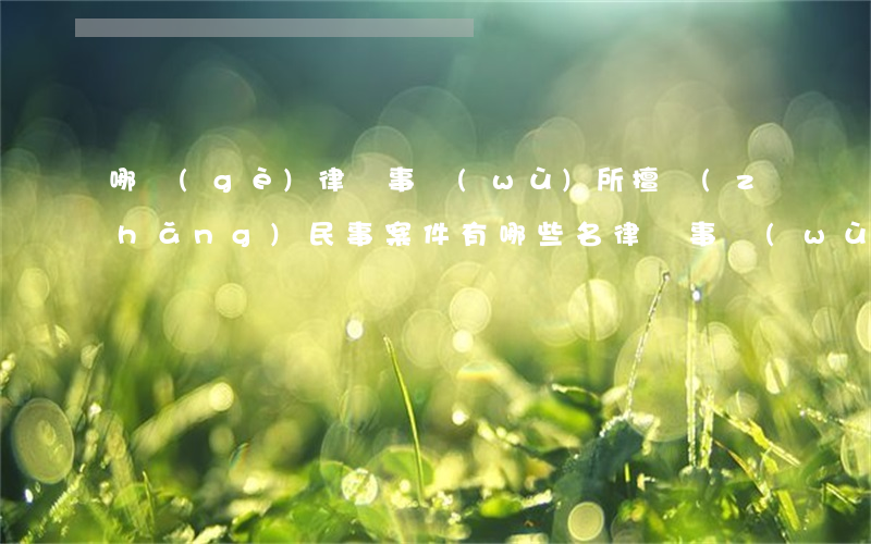 哪個(gè)律師事務(wù)所擅長(zhǎng)民事案件(有哪些名律師事務(wù)所)