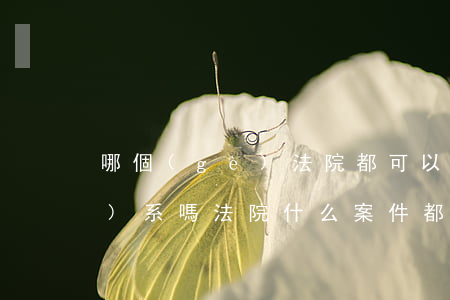 哪個(gè)法院都可以受理關(guān)系嗎(法院什么案件都會(huì)受理嗎)